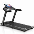 Folding Home Treadmill with Large Display, Handrails and 2.0 HP Motor
