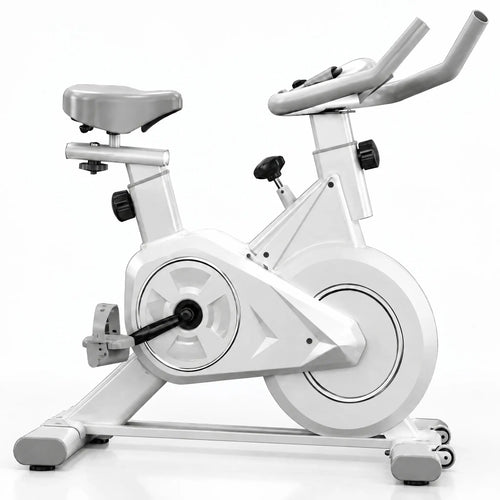 Compact Magnetic Spin Bike with 4 kg Flywheel and LCD Display
