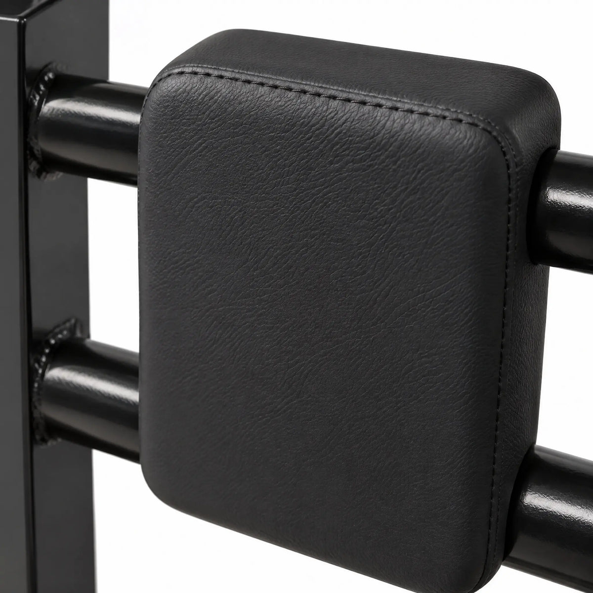 Wall-Mounted Pull-Up and Dip Station with Padded Backrests
